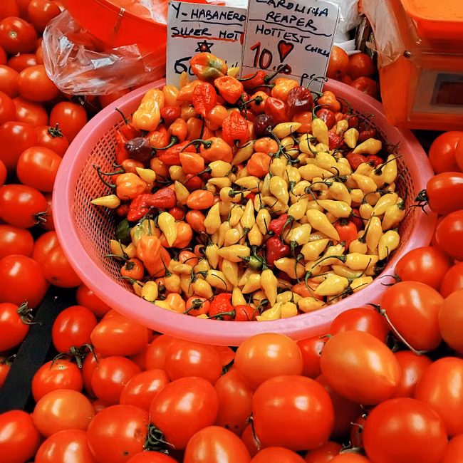 Hortifruti da Estação (kg)